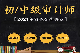 2023初中级审计师视频教材培训课程资料课件百度云网盘下载