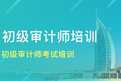 2023初级审计师理论与实务网课视频教程资料百度云下载