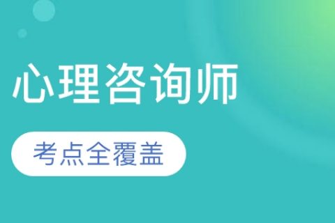 2023心理咨询师课程视频教学真题免费下载百度云网盘