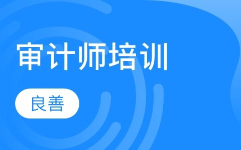 2023中级审计师理论与实务视频课件资源百度云下载