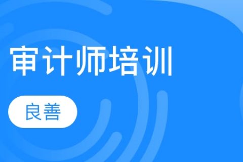 2023中级审计师理论与实务视频课件资源百度云下载