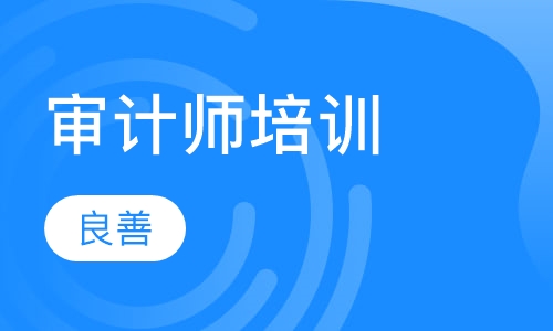 2023中级审计师理论与实务视频课件资源百度云下载