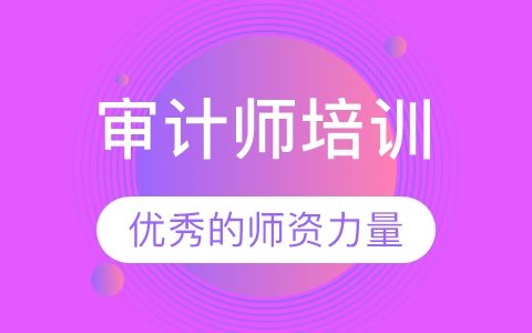 2023中级审计师审计专业相关知识视频百度云网盘下载