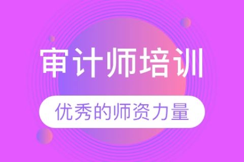 2023中级审计师审计专业相关知识视频百度云网盘下载
