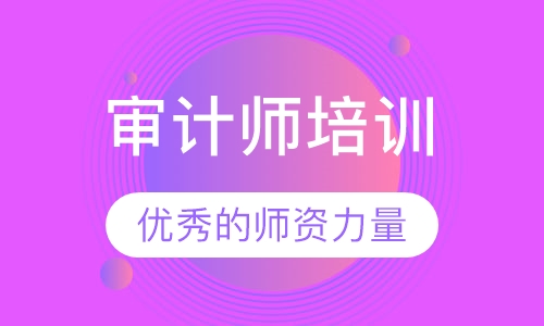 2023中级审计师审计专业相关知识视频百度云网盘下载