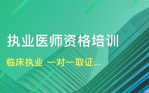 2023年临床执业医师精讲视频教材课件百度云网盘下载