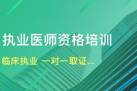 2023年临床执业医师精讲视频教材课件百度云网盘下载