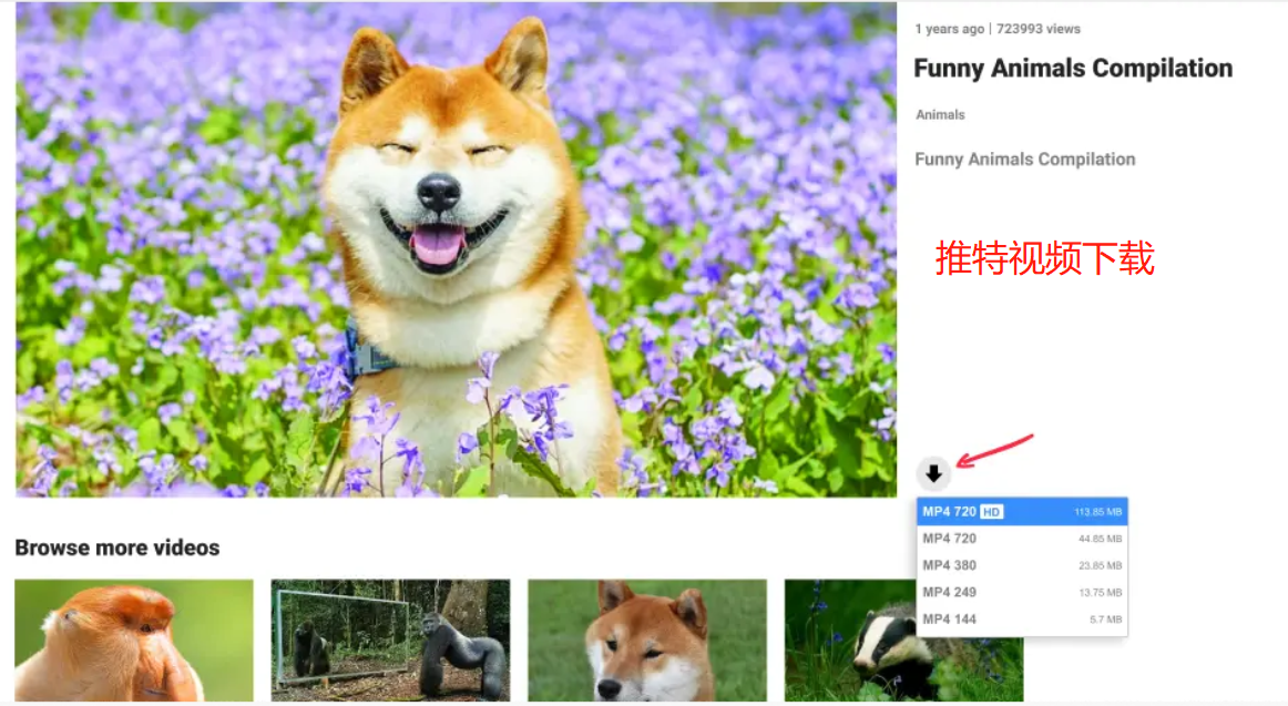 轻松搞定推特twitter视频下载（推特最新教程）